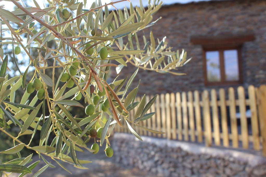 Apartmán Dreams Alpujarra Pampaneira Exteriér fotografie