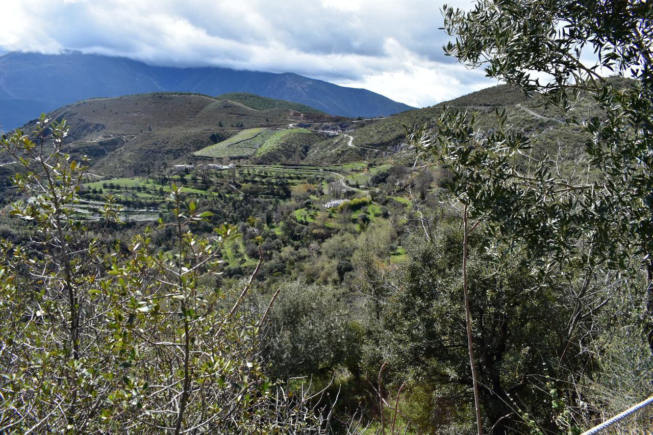 Apartmán Dreams Alpujarra Pampaneira Exteriér fotografie