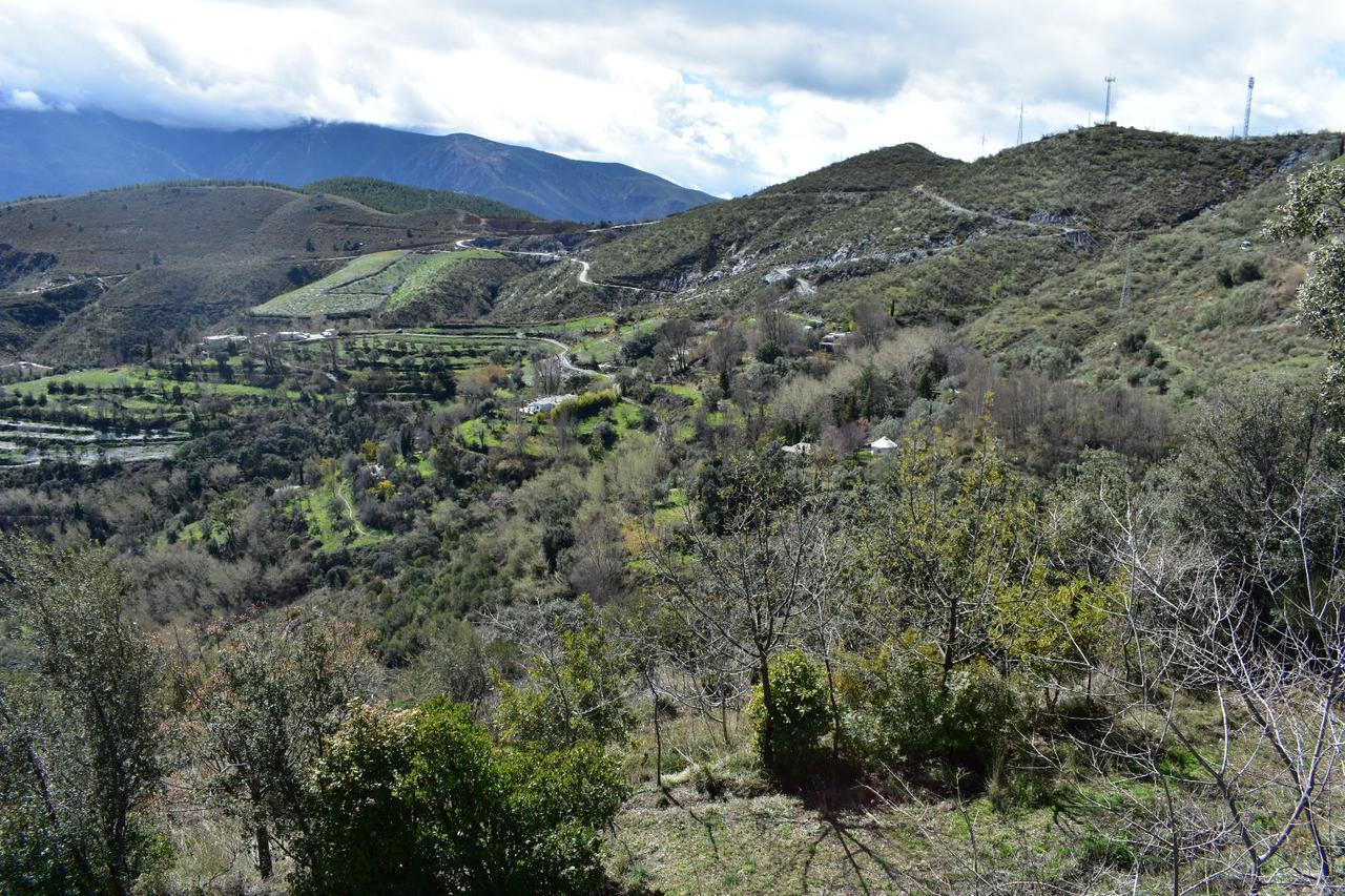 Apartmán Dreams Alpujarra Pampaneira Exteriér fotografie